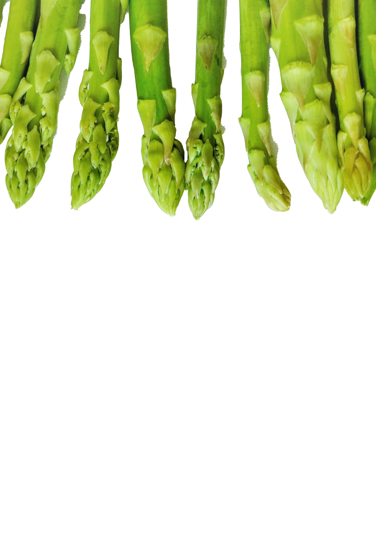 アスパラガス